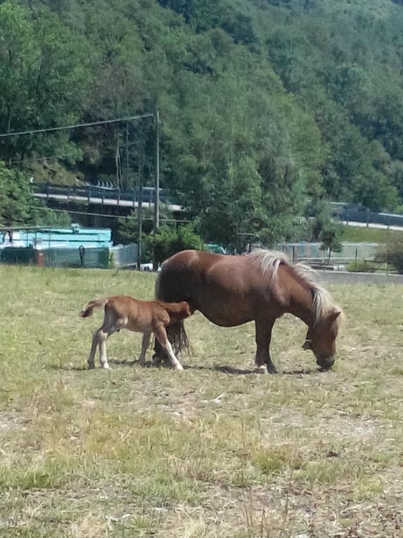 Bauernhof Agriturismo La Miniera Gignese